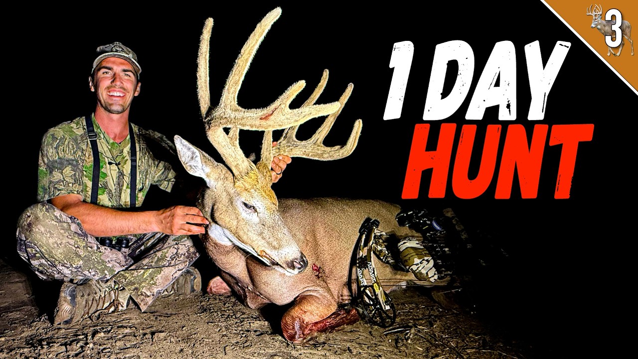 Spot & Stalk Velvet Buck I Ранний сезон охоты с луком INSANITY