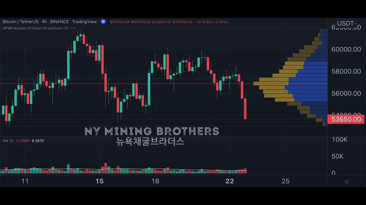BTC YEAR OF 2021 UNDER 35 MIN 4 HOUR BAR  BITCOIN USDT CHART TIMELAPSE REVIEW REPLAY 비트코인 차트 4시간봉 리플