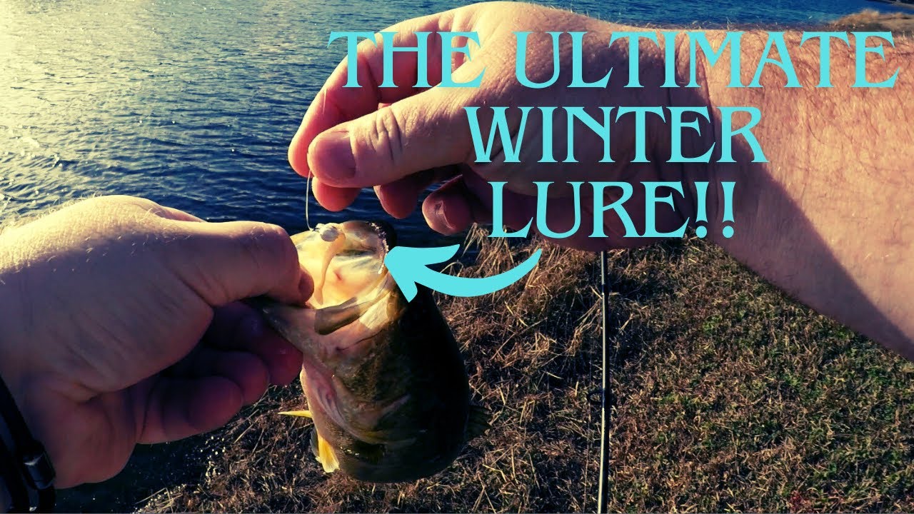 I Lost My Micro VMC Boot Tail Jig to a Big Fish! #fishing #bassfishing #bass