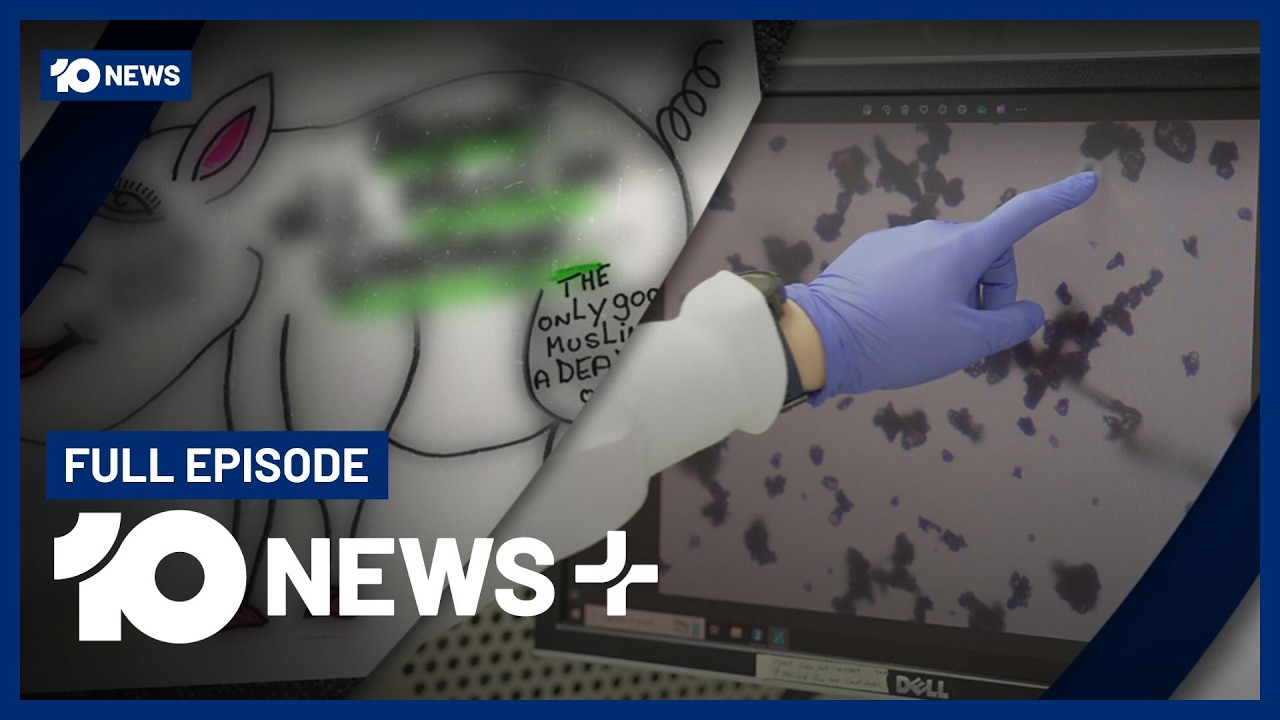 Disturbing Mosque Threat, Alzheimer's Bushfire Link, Mental Health System Failure | 10 News+