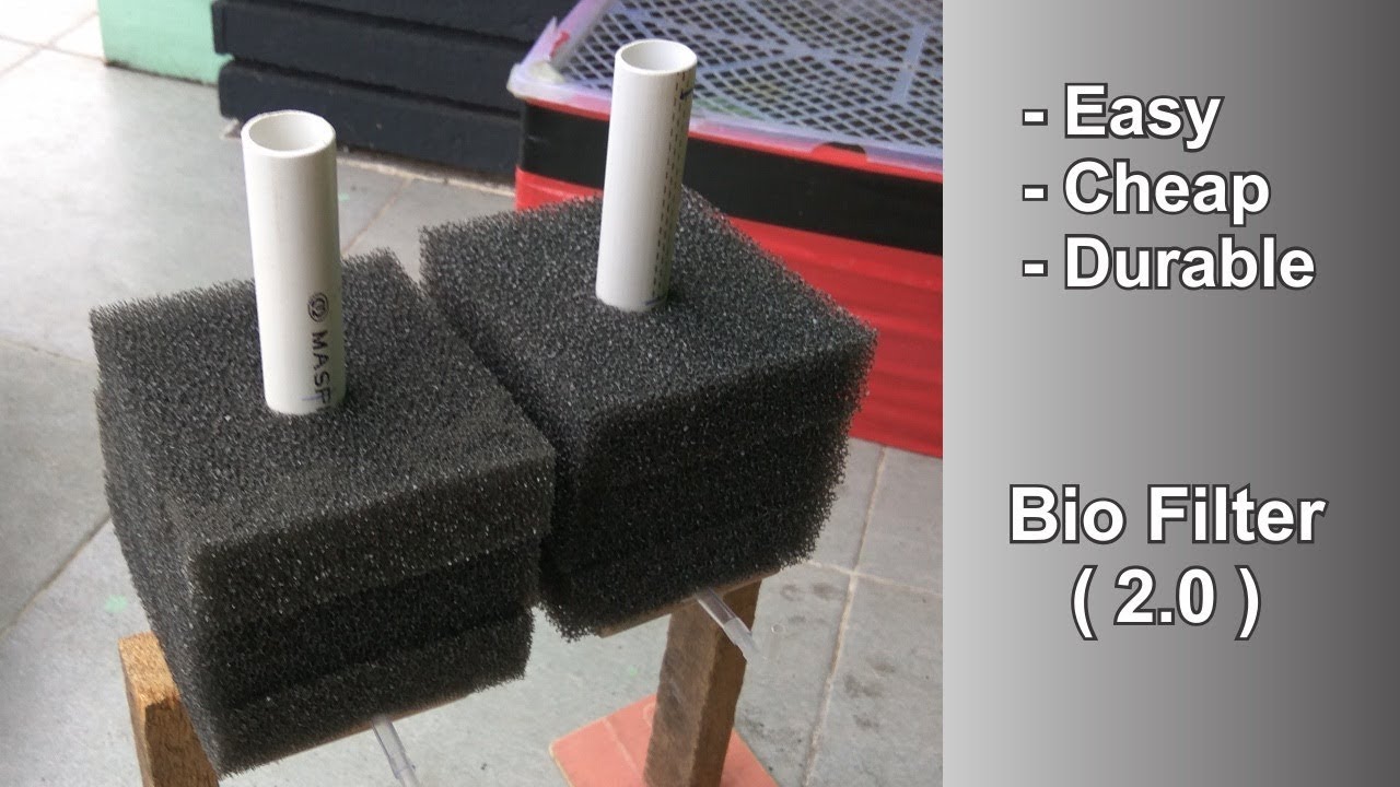 How To Make Bio Filter v2.0
