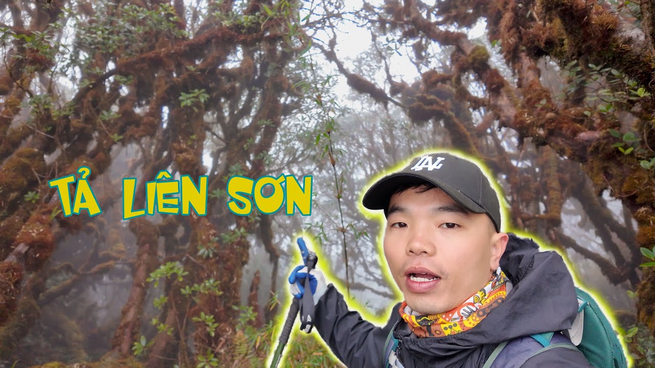 Treking Răng Cưa - Tả Liên Sơn - P2 I Rừng Cây Rêu Phong Ma Mị