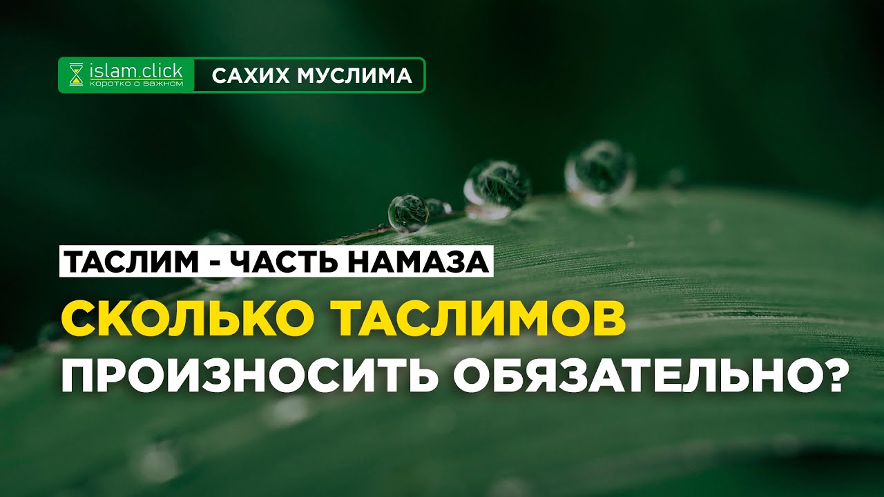 Таслим является частью намаза. Сколько таслимов произносить обязательно? | Абу Яхья Крымский