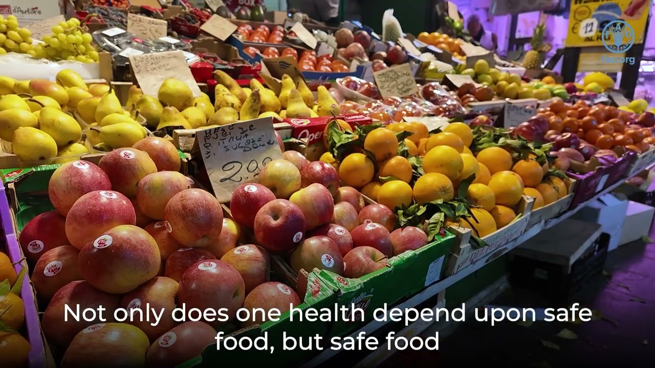 When Everything’s Connected: One Health for Food Safety