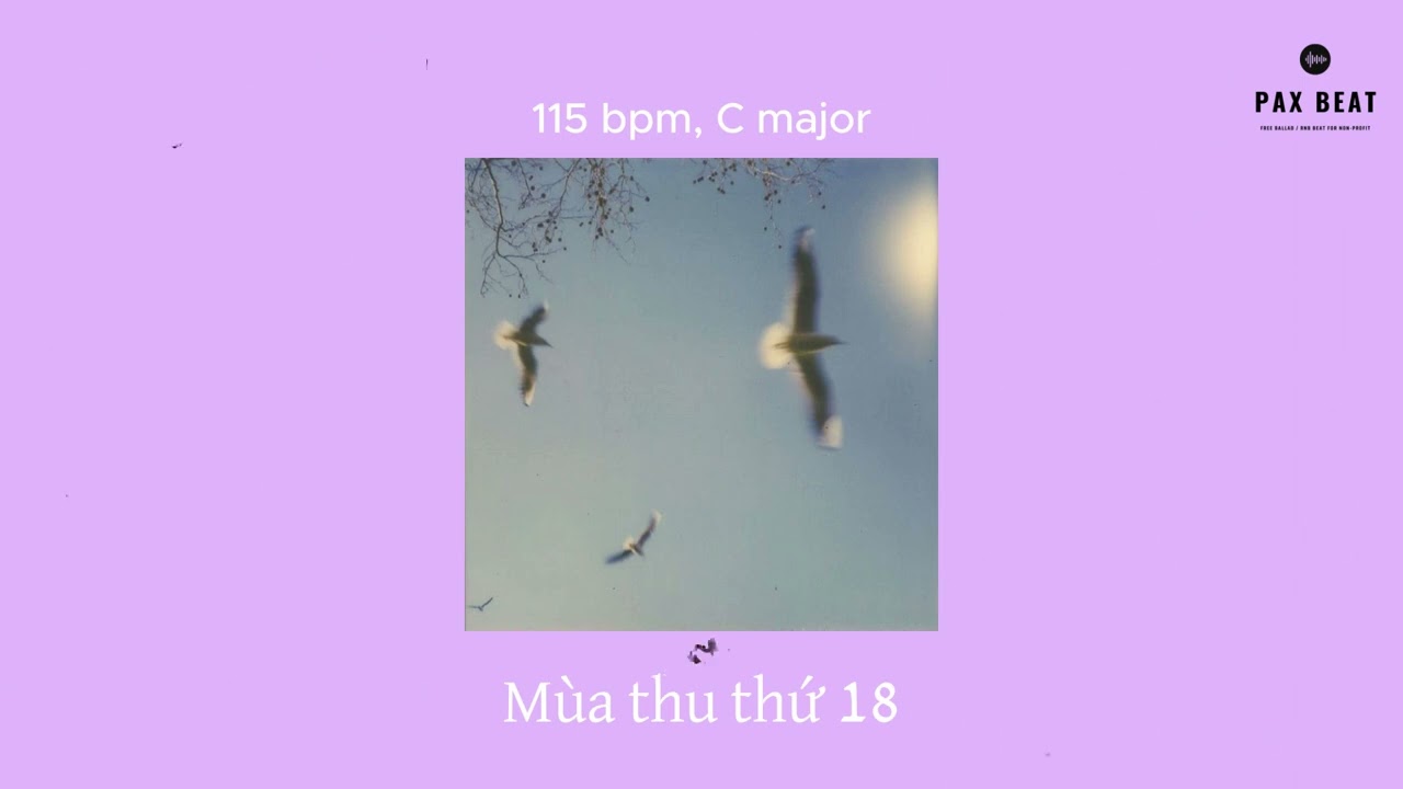 Pop Ballad Type Beat | 