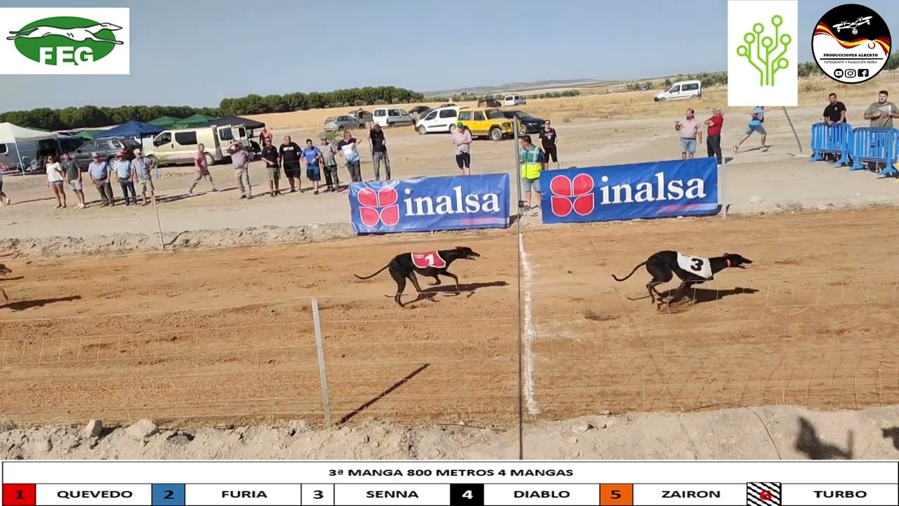 XXXV CAMPEONATO DE ESPAÑA, 800 METROS 4 MANGAS Y OPEN