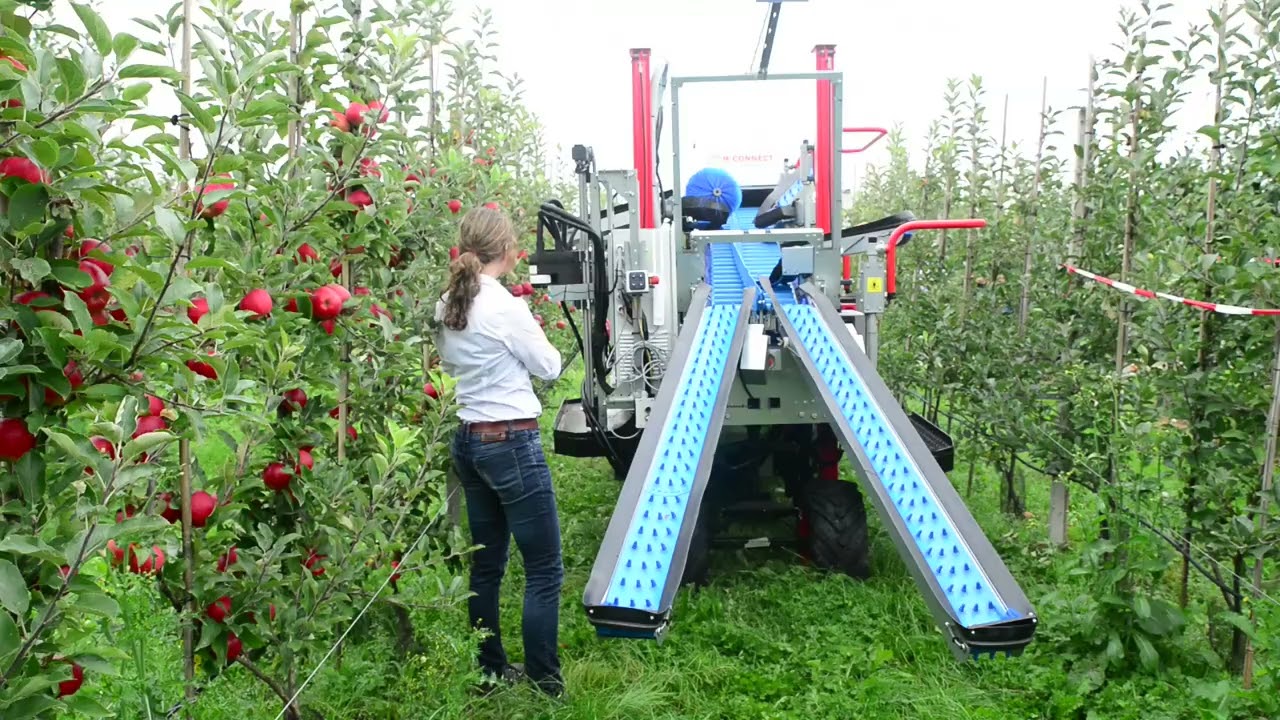 Apple harvest robot Munckhof 2024   Pluk O Track short