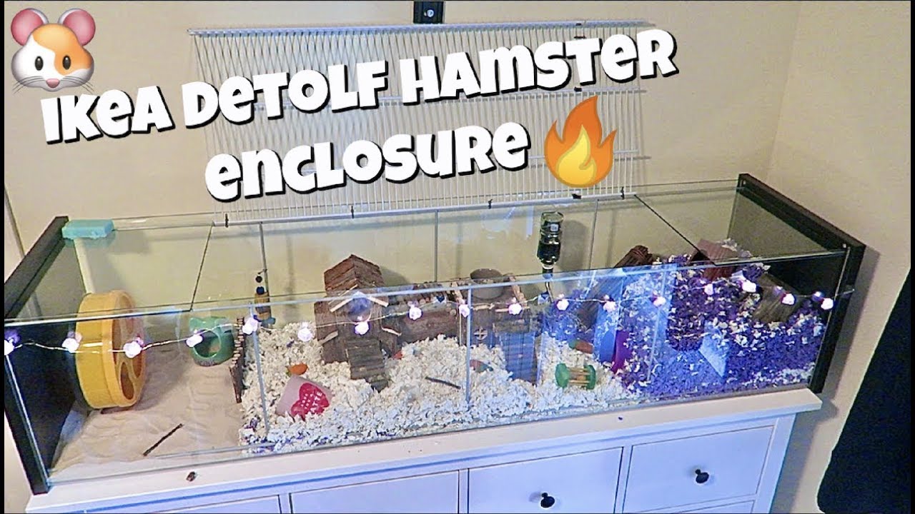 HUGE HAMSTER ENCLOSURE UPGRADE 🐹 | IKEA DETOLF |