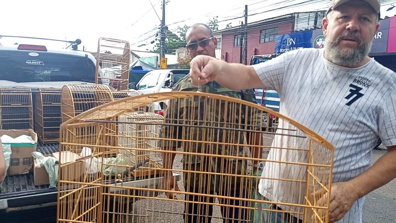 ACHEI GAIOLAS DE 20 REAIS NA FEIRA DO CORDEIRO, OS MELHORES PREÇOS!! RECIFE - PE, 25/01/2026.