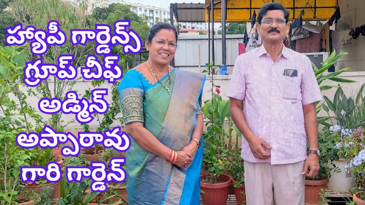 happy gardeners group admin apparao sir gari garden #@Aadi Lakshmi's Terrace Garden ఆదిలక్ష్మి మిద్దెతోట