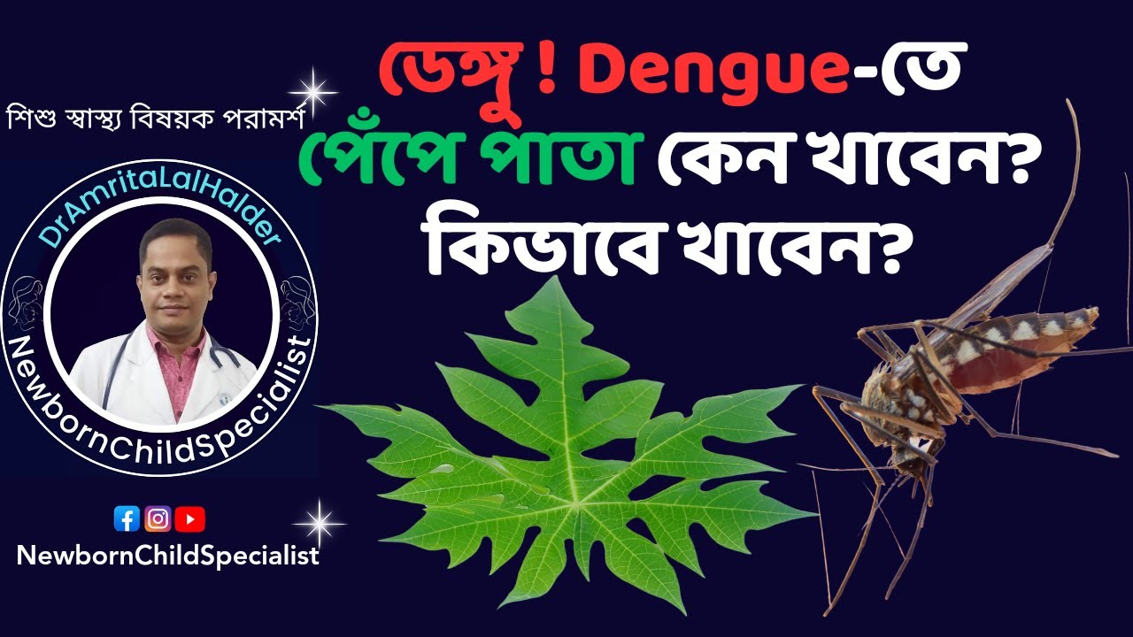 ডেঙ্গুর মহৌষধ পেঁপে পাতা। Surprising Benefits of Papaya Leaves for Dengue. DrAmritaLalHalder.