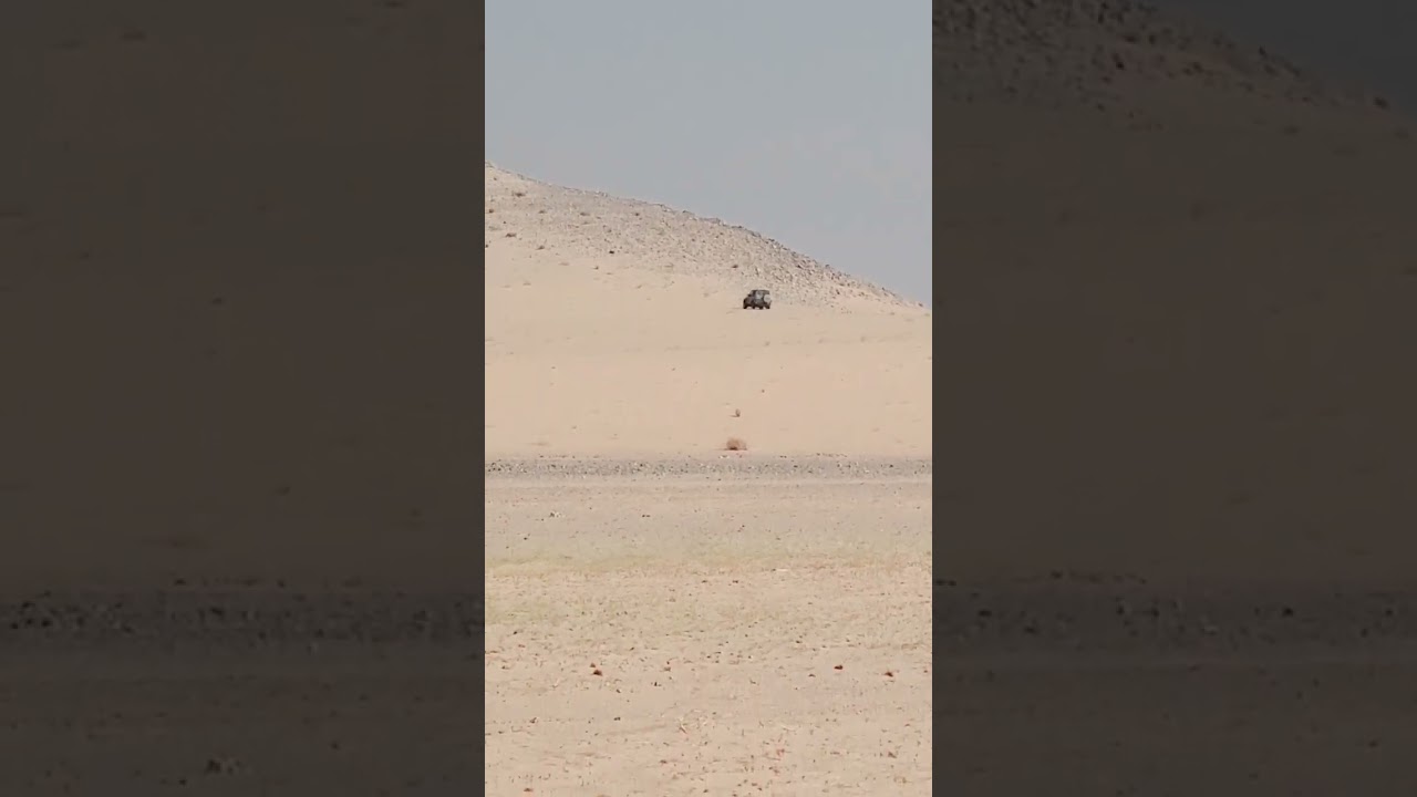 ابوي في رحلته في الصحراء