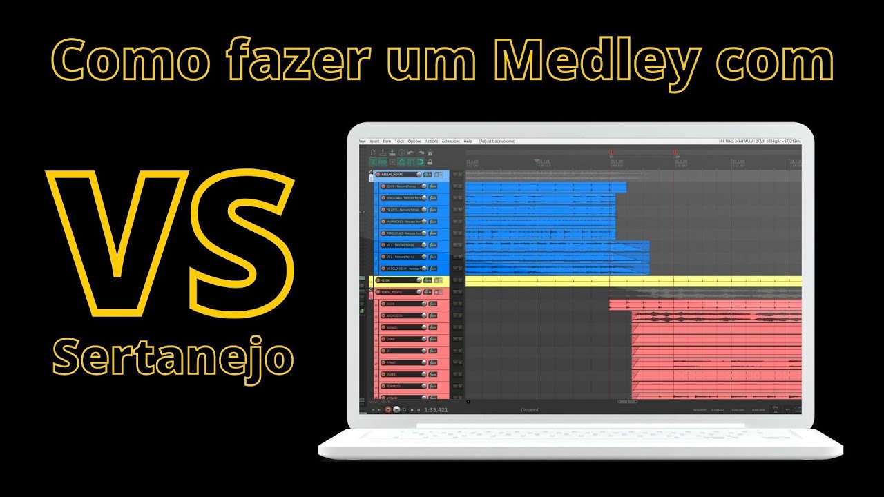 Como fazer um Medley com VS Sertanejo no Reaper