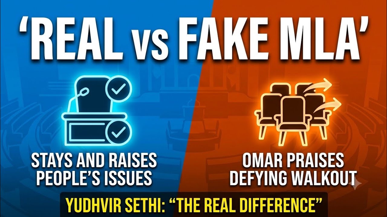 Real vs Fake MLA