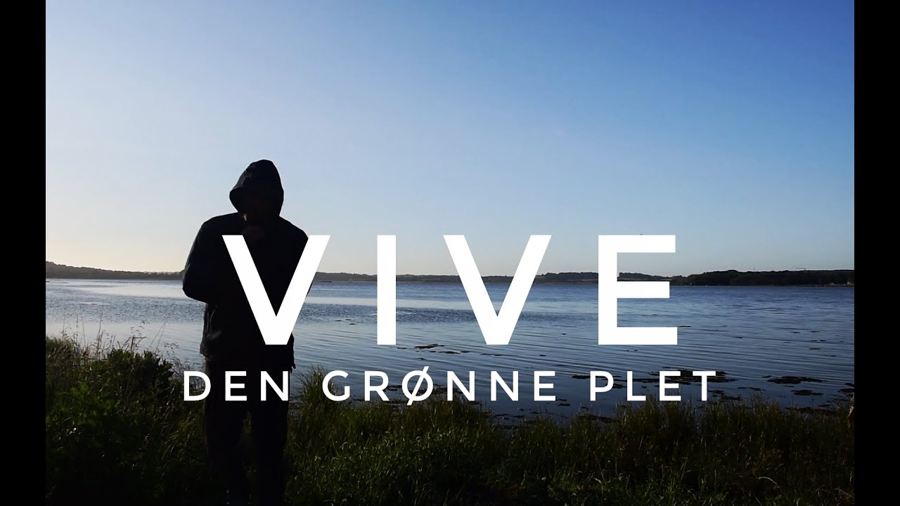 Vive Havn