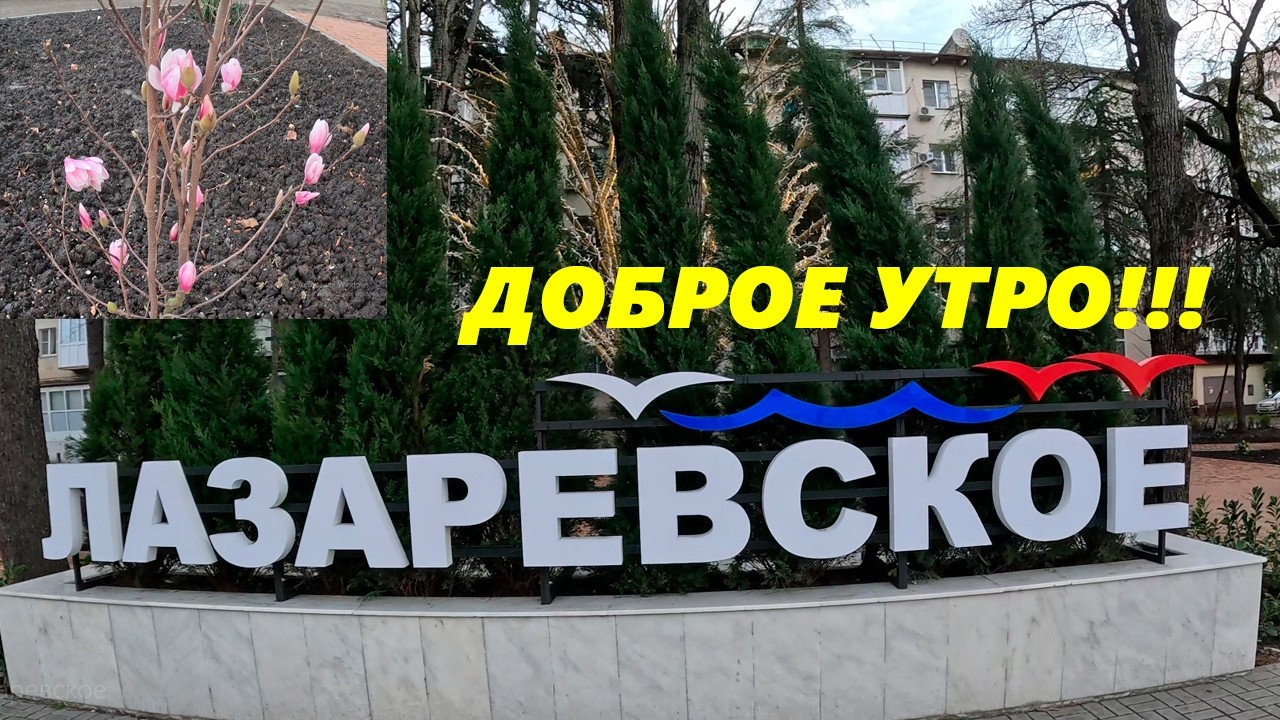 Доброе утро из Лазаревского!  Февраль 2026.