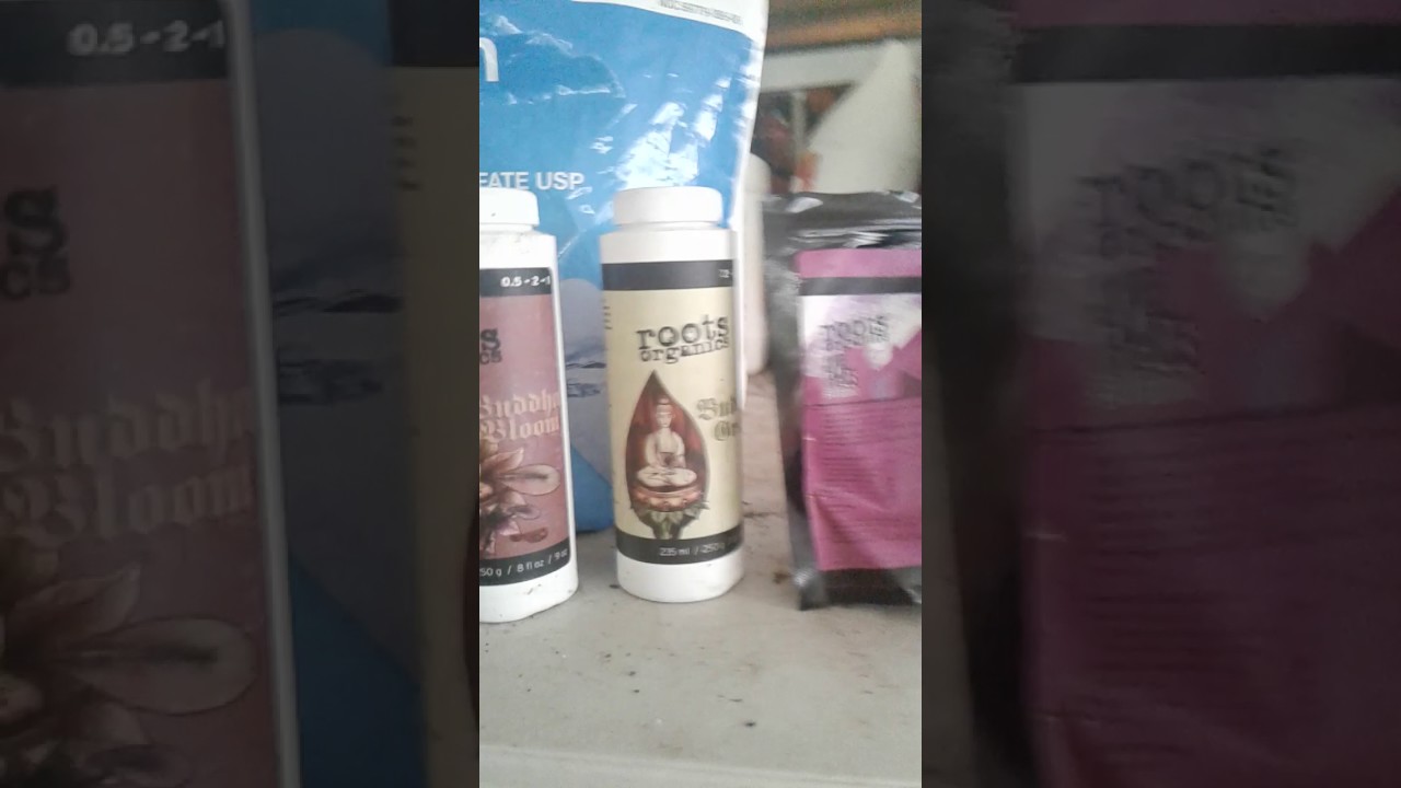 Roots Organics-aurorainnovations Sample run