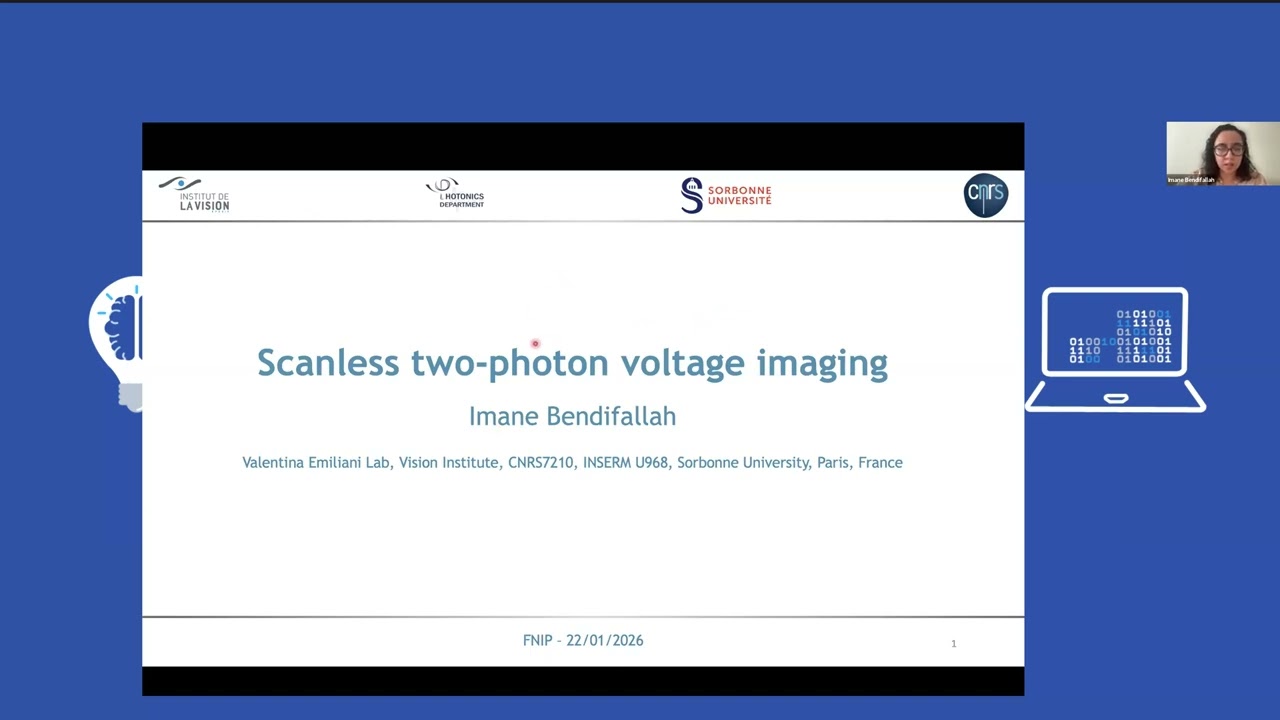 10th FNIP webinar | Imane Bendifallah & Francesco Gobbo