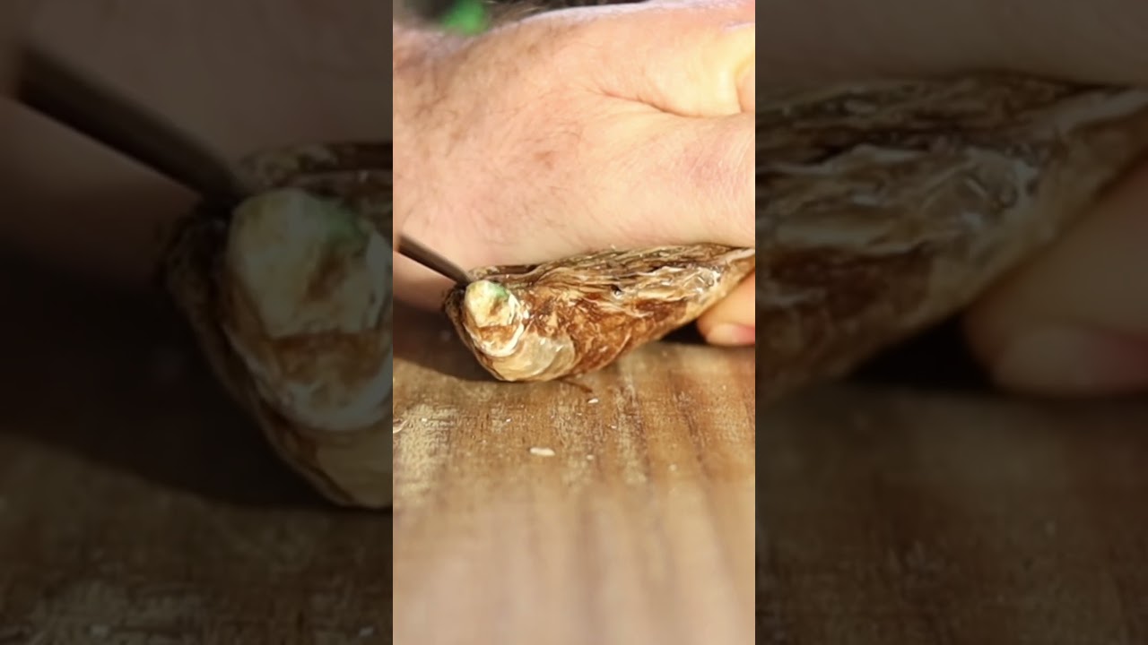 Eating Raw Oysters- La Saint Simon Oysters #oysters #seafood #tastetest