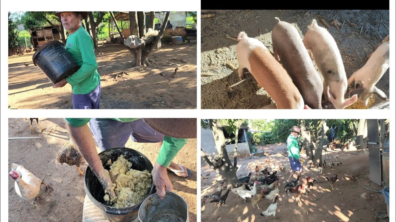 eli está completando 75 anos hoje, mais mesmo assim não para de trabalhar 🥳🥳🥳🥳🥳