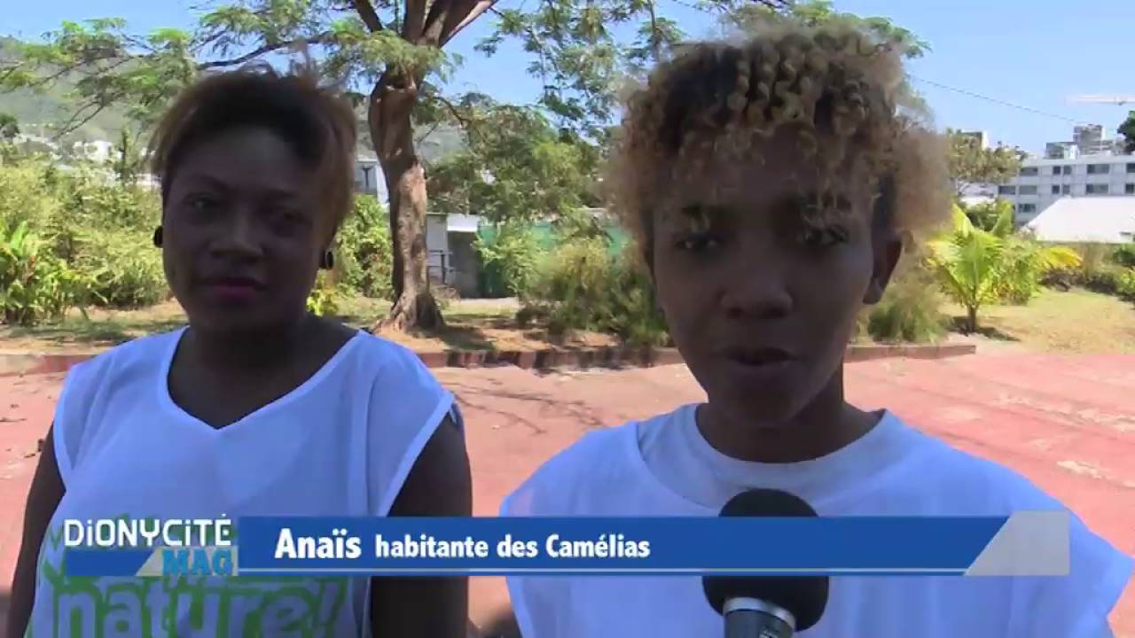 Dionycité Mag - 12 octobre 2016