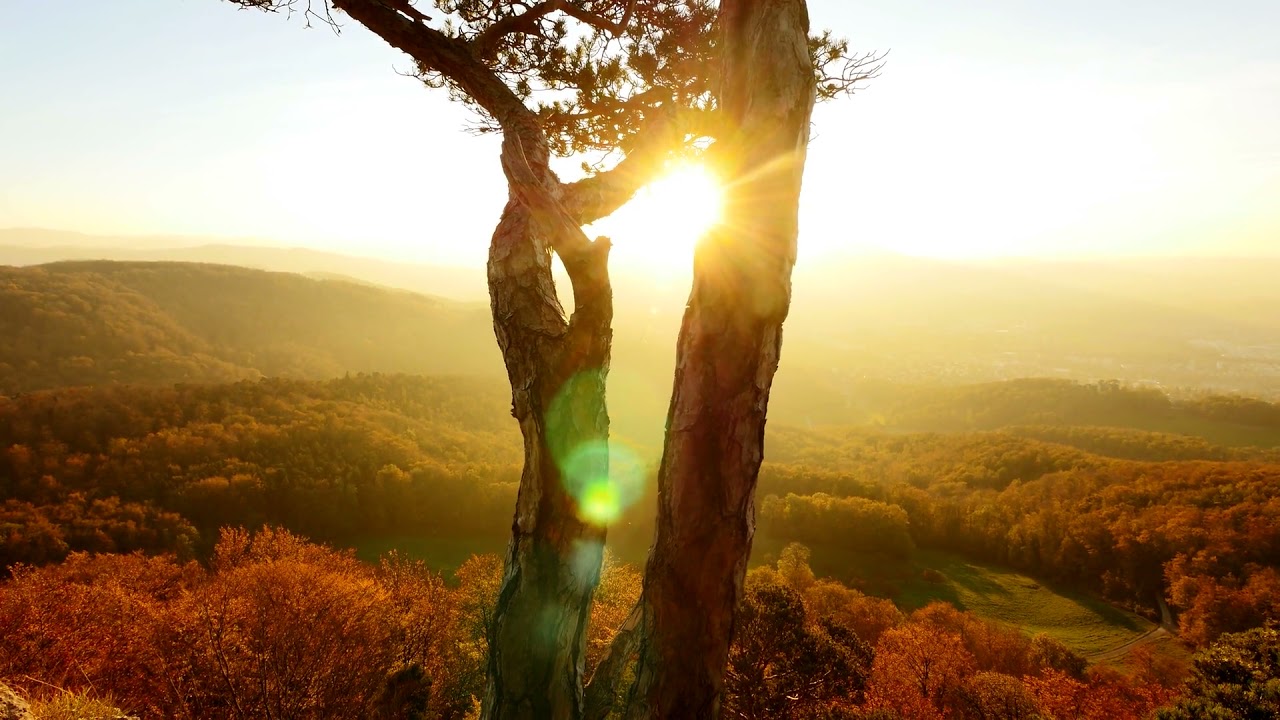 Tranquil Mindfulness Meditation Music - Escape and Relax | Relaxing Music | Meditation