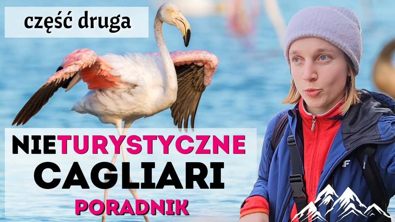 Co robić w Cagliari? Flamingi, g&oacute;ry i sushi na Sardynii