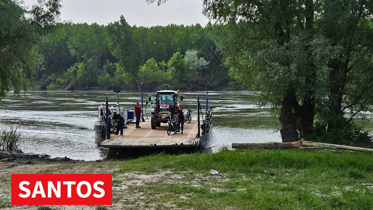 PONOVO FUNKCIONIŠE SKELA NA TISI KOD TARAŠA