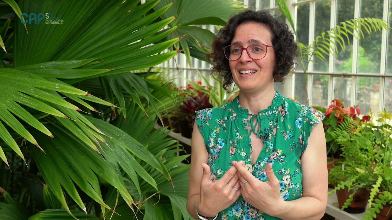 Polinizadores e Agroecossistemas: uma simbiose com futuro
