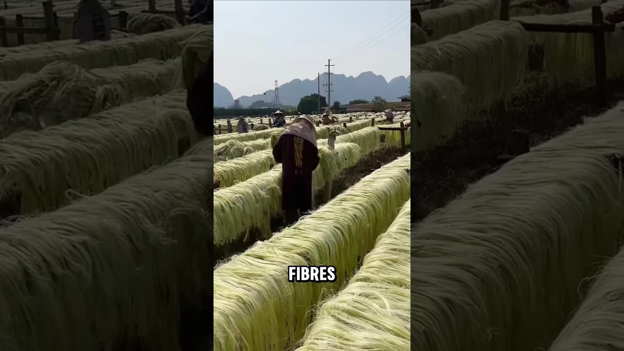 Turning Plant Fibers into Shoe Soles in China