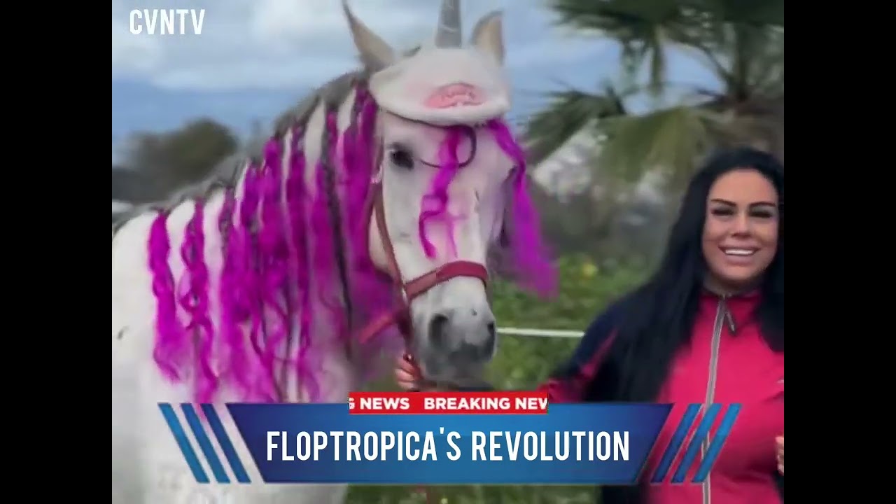 FLOPTROPICA CREDIT: KEISUKI
