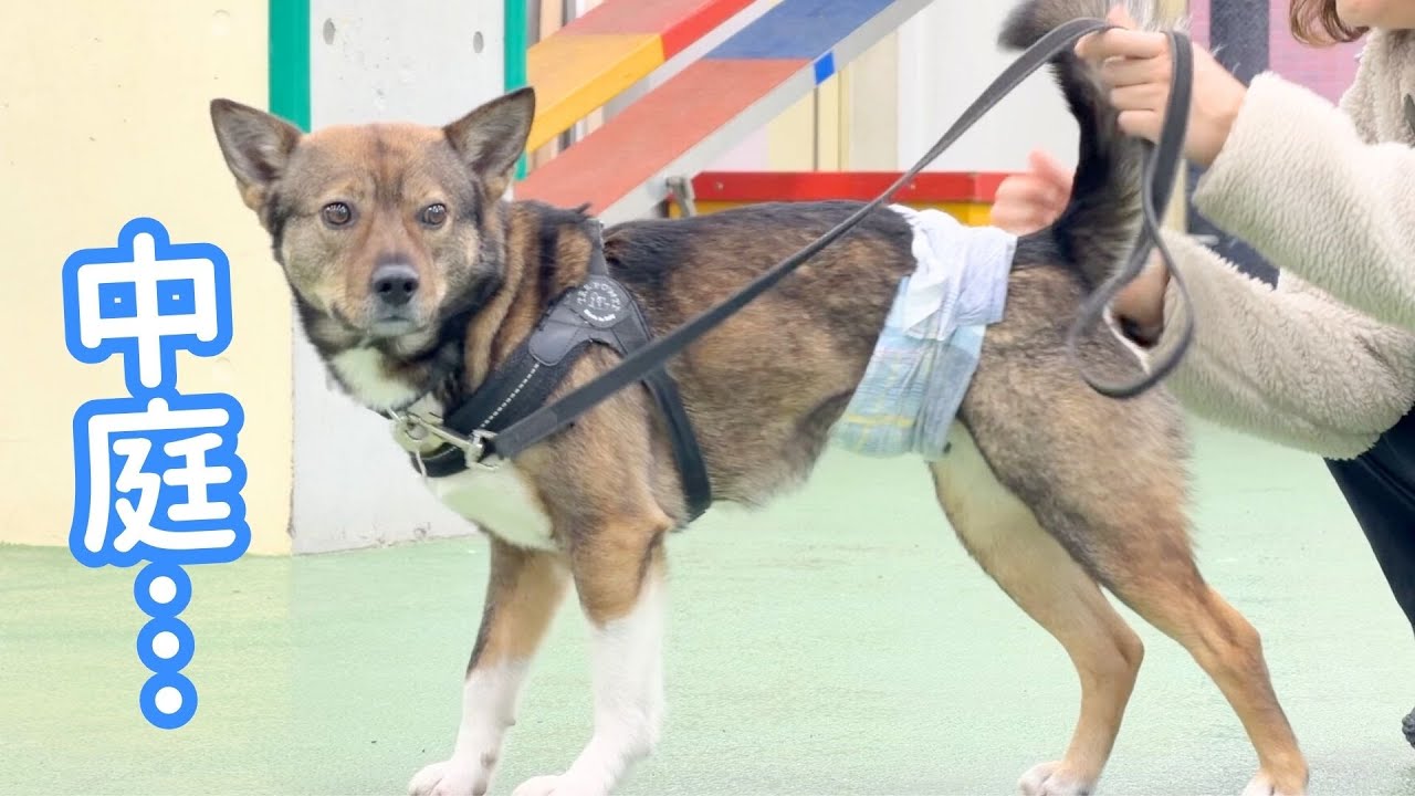 魅惑の「中庭」に想いを募らせるチャーリー