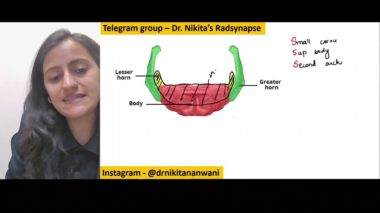 Hyoid development |Mnemonic of the day |Pharyngeal arch derivatives |Dr. Nikita Nanwani #nikmonics