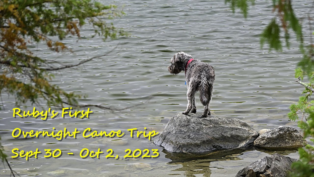 Ruby's First Overnight Canoe Trip | Ojibway Lake | Autumn Camping