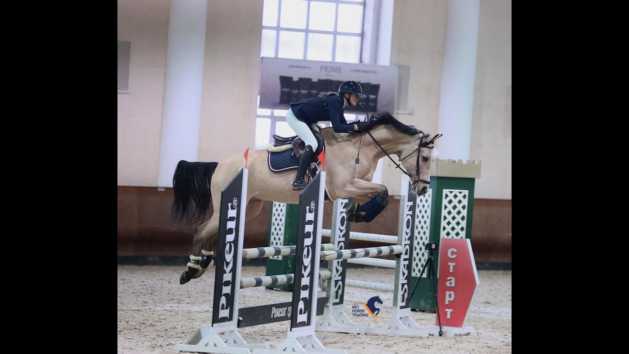 Универсальный. Красивый. Подойдет под любителя. Арт.: 0339