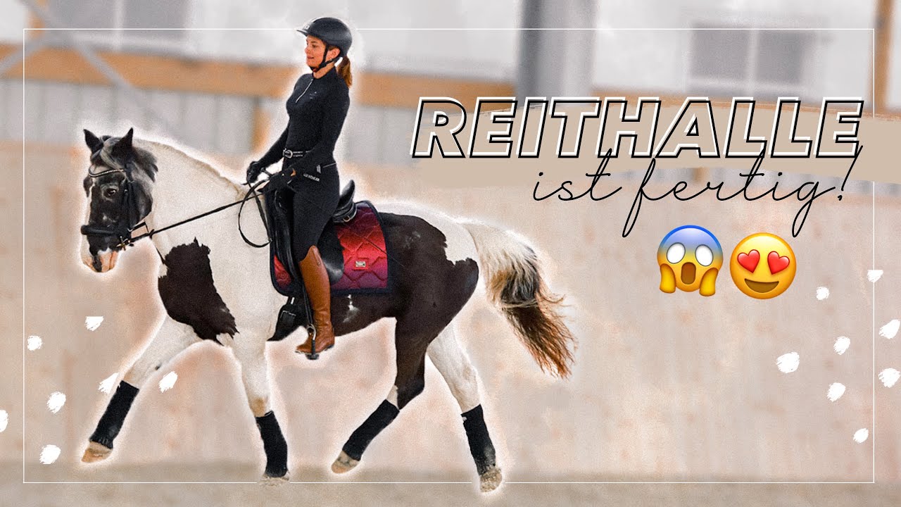 Die Reithalle ist FERTIG 😱😍 wir gehen reiten! // A&G HorseDiary
