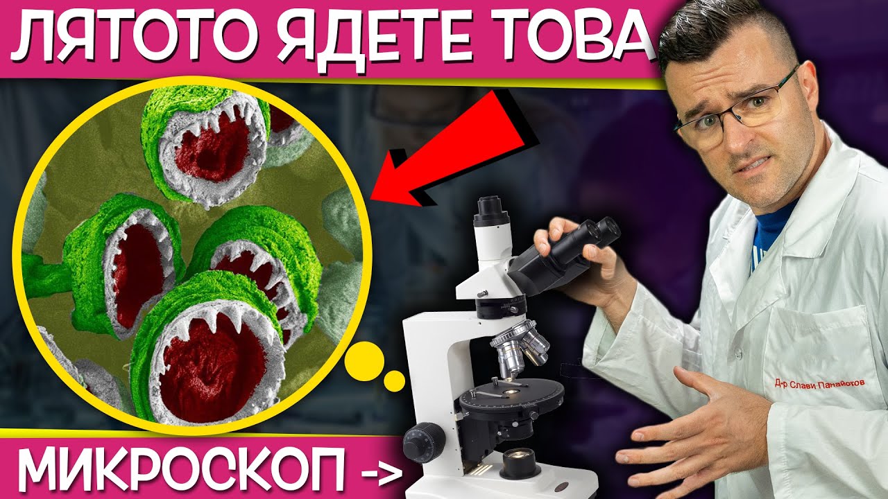 15 НЕЩА, които изглеждат ШОКИРАЩО под МИКРОСКОП