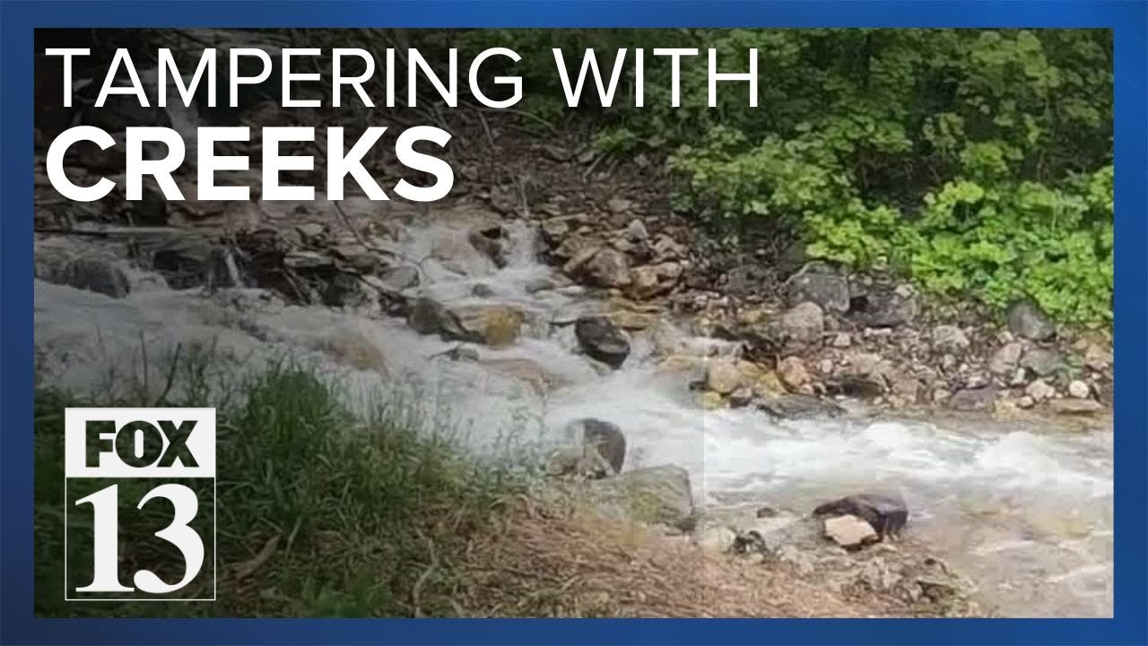 Trail cams find Millcreek flooding caused by hikers creating barriers