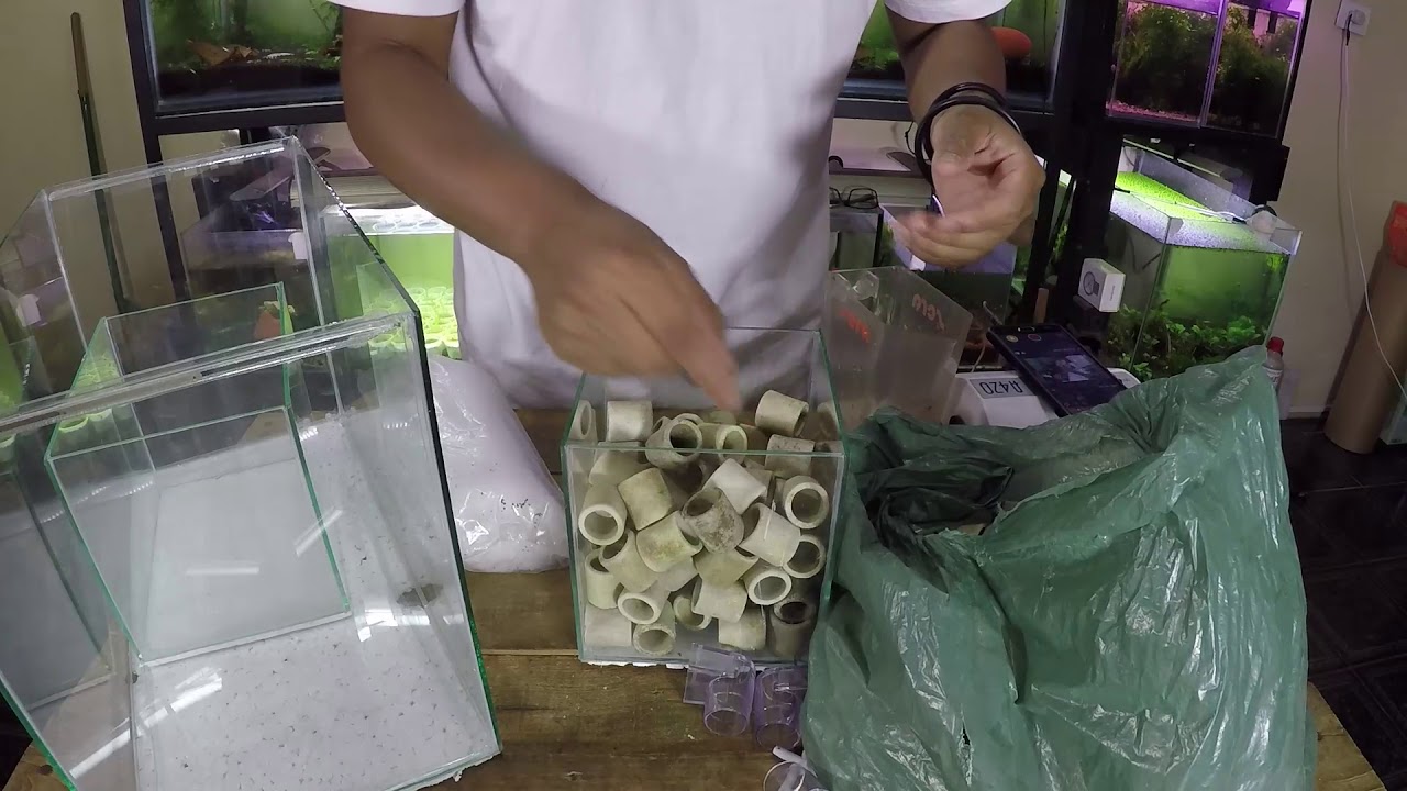 COMO FAZER FILTRO BIOLÓGICO DE FUNDO PORTÁTIL PARA SEU AQUÁRIO!