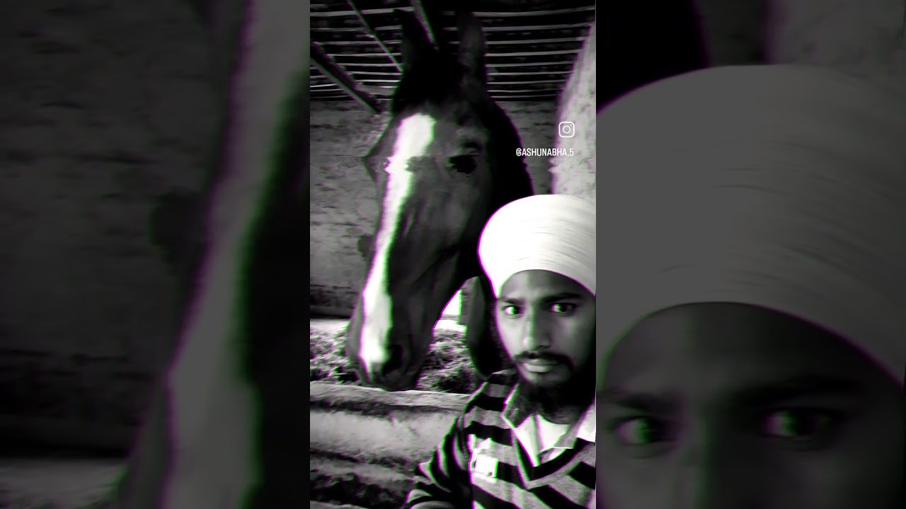 #khalsa #khalsafuaj #khalsaji #reality #viral #trendingshorts #song #budhadal #livetv #panjaab #vide