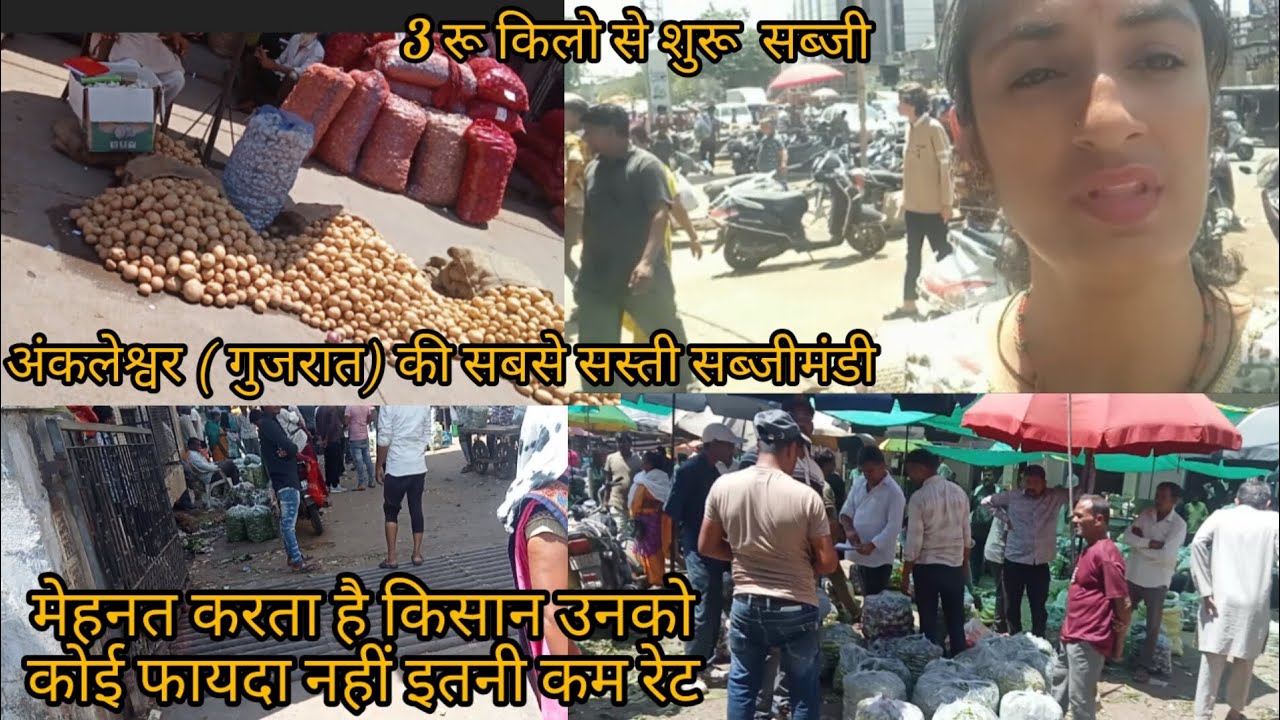 अंकलेश्वर(गुजरात)की सबसे सस्ती सब्जीमंडी🍅// मेहनत  बिचारा किसान करता फ़ायदा दुकान वालो को मिलता है..