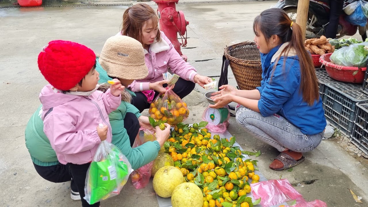 The girl harvests tangerines and grapefruits and brings them to the market to sell | Wish Thi Duong