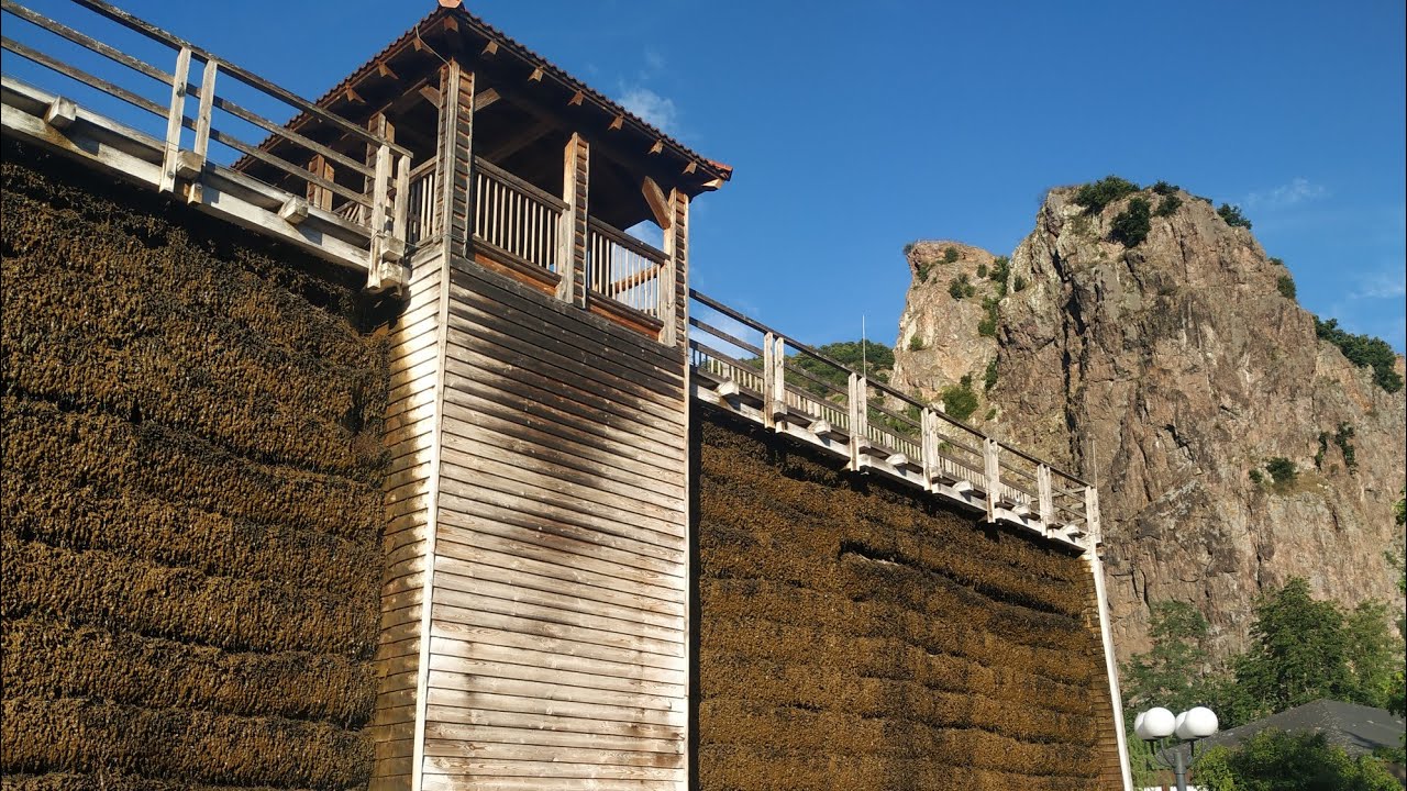 Blackthorn (Prunus spinosa) used in traditional Salt production