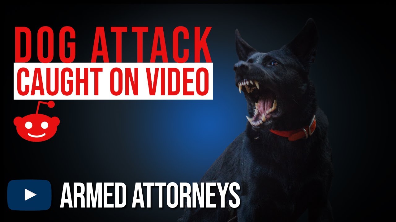 Self-Defense Against Dogs &ndash; Is it Legal?
