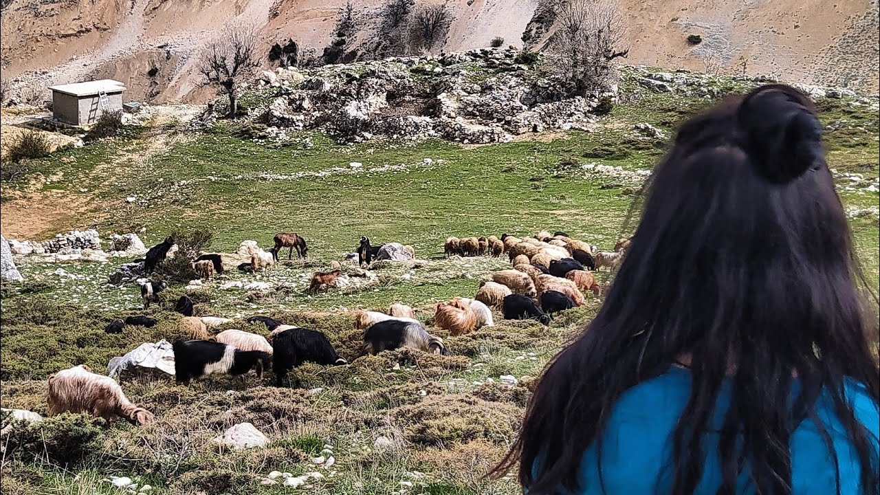 Мы пошли гулять по плато 🐏 (козы, свежий воздух, много кислорода) Плато Адыяман