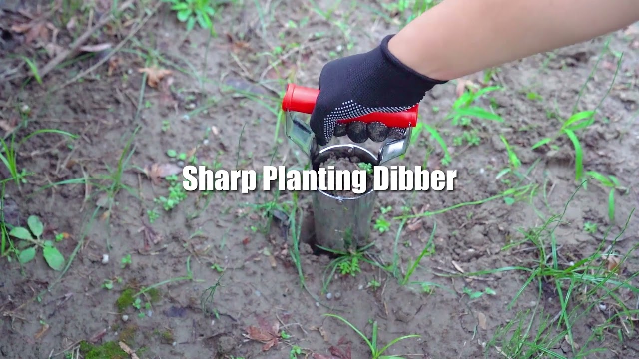 FLORA GUARD Bulb Planter with Depth Mark- Ideal Bulb Transplanter for Planting