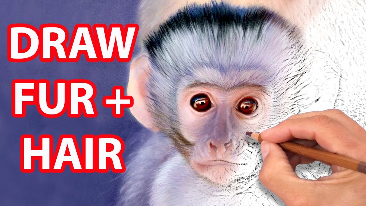 Drawing FUR + HAIR using Pastel Pencils - LEARN NOW - Jason Morgan
