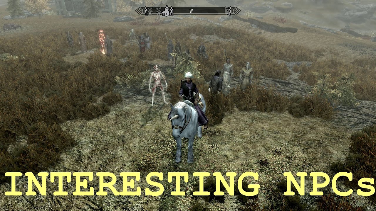 Elder Scrolls 5 Skyrim Mod Interesting NPCs (Saving a Milk-drinker)