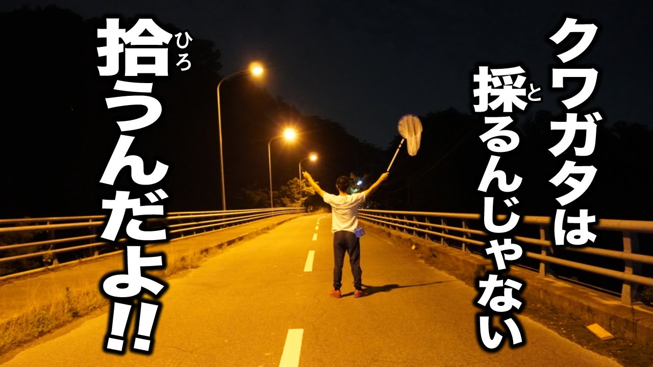 ついに“あのクワガタ”を手に入れた