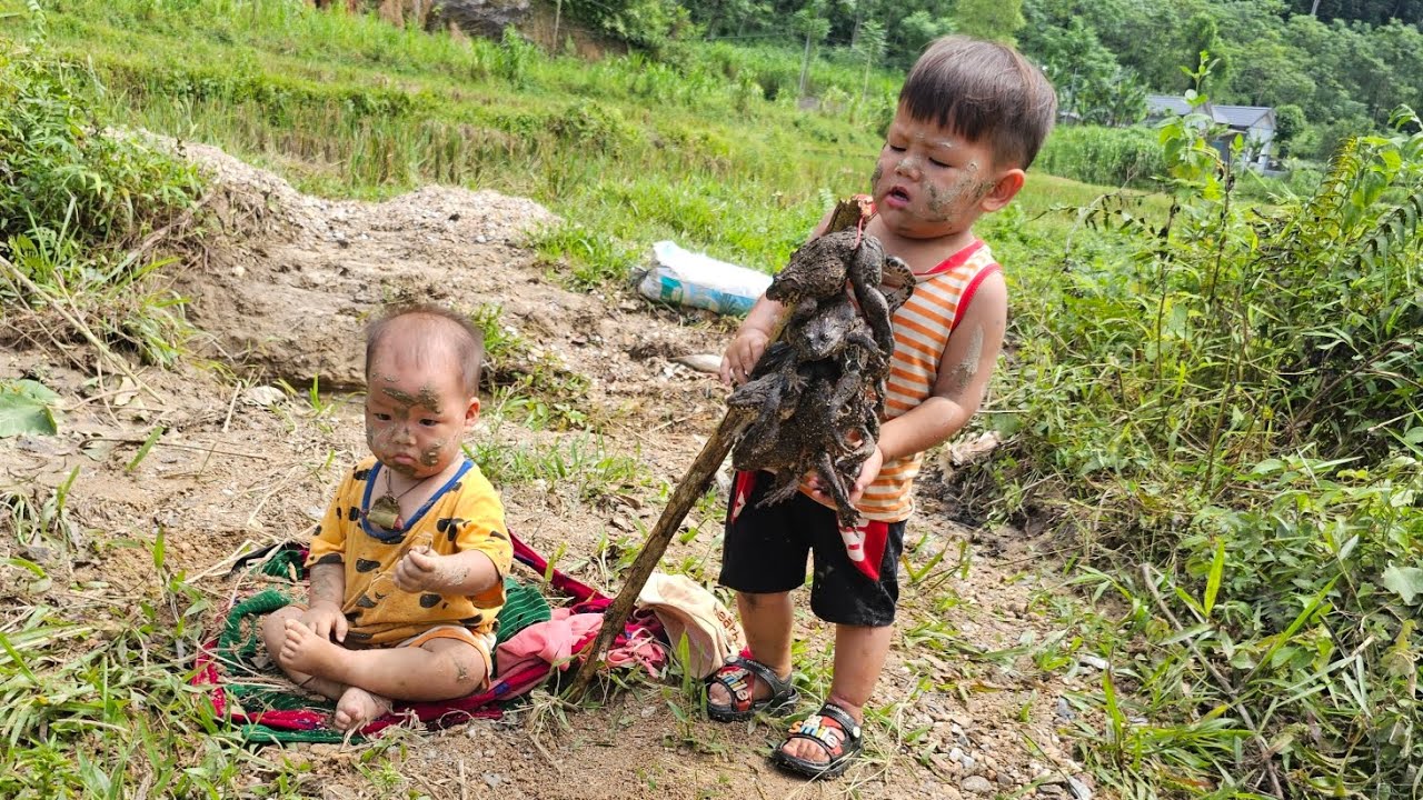 A single mother took her children to catch frogs to cook